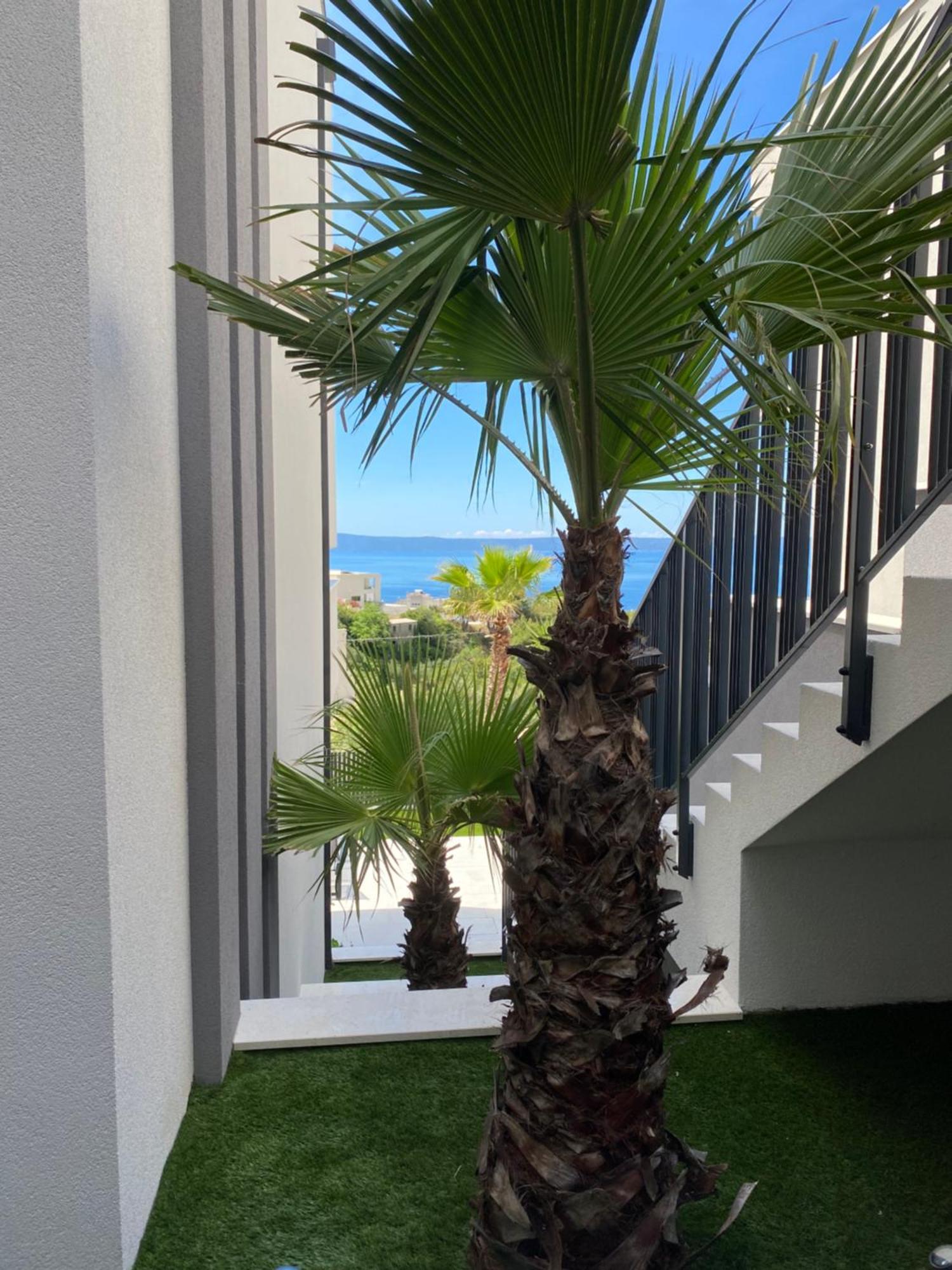 Apartment 5 *